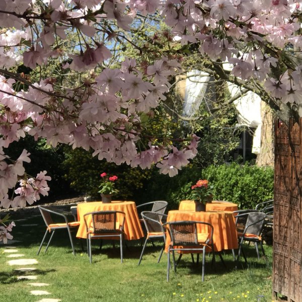 La Villa Romaine - Spa Privé Uzes_30700 UZES_20